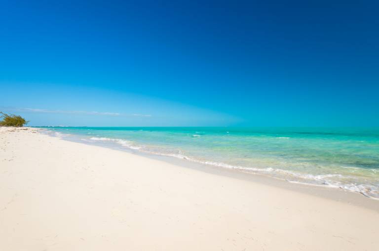 Beachfront at Casa Varnishkes in Turks and Caicos